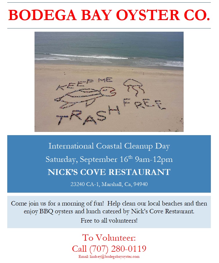 Bodega Bay Oyster Company Hours Monday 11am 6pm