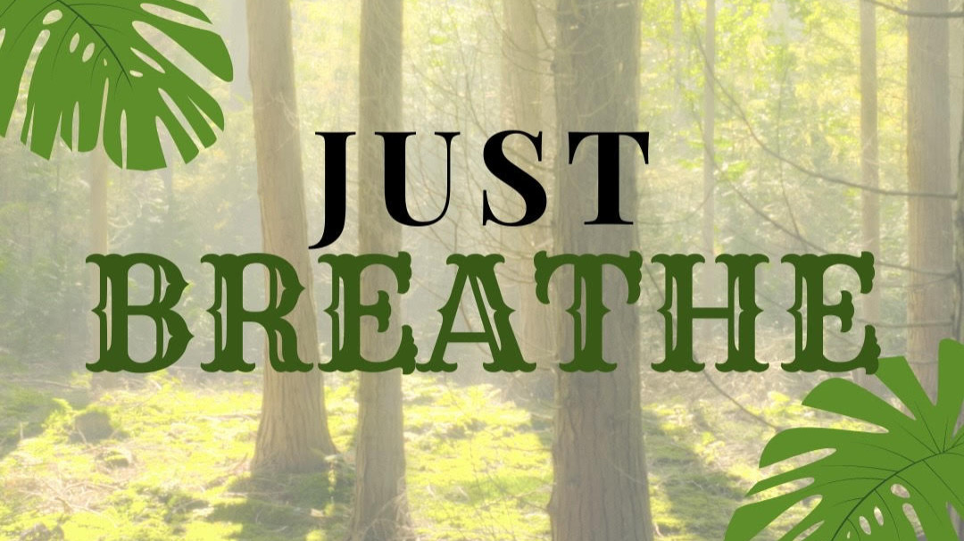 Breathwork - Bodhi Room, MD | Hilde Schirmer, Holistic Health Specialist