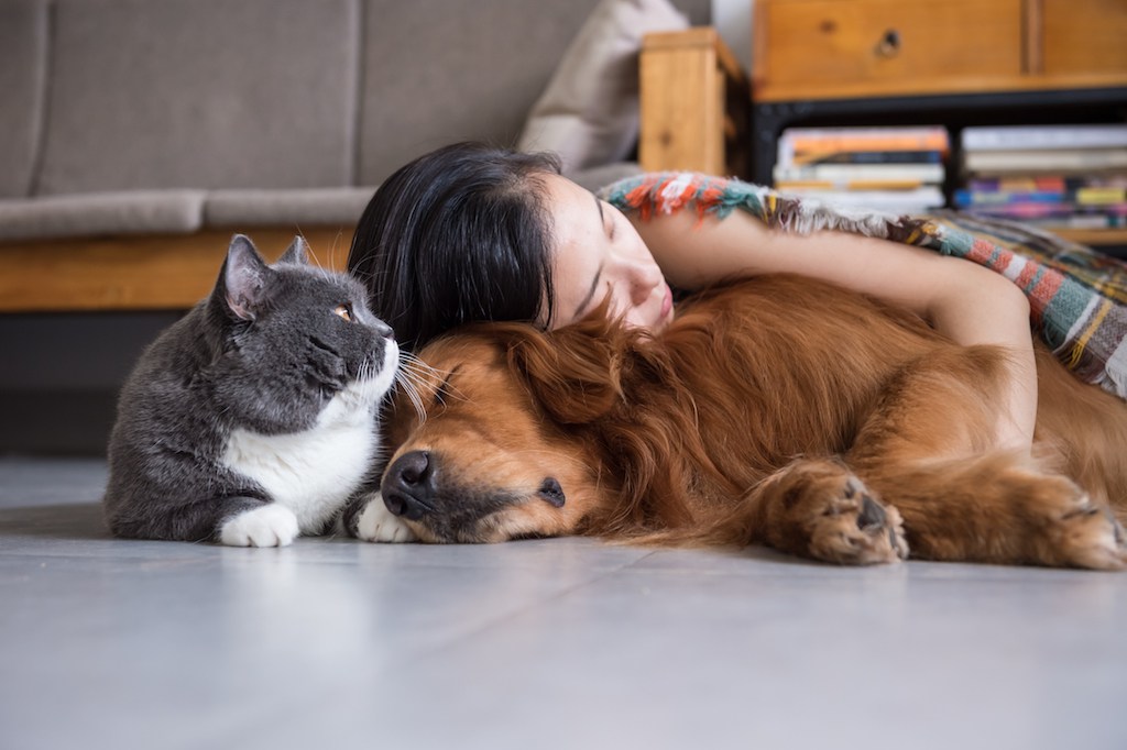 15 MindBlowing Health Benefits of Owning a Pet