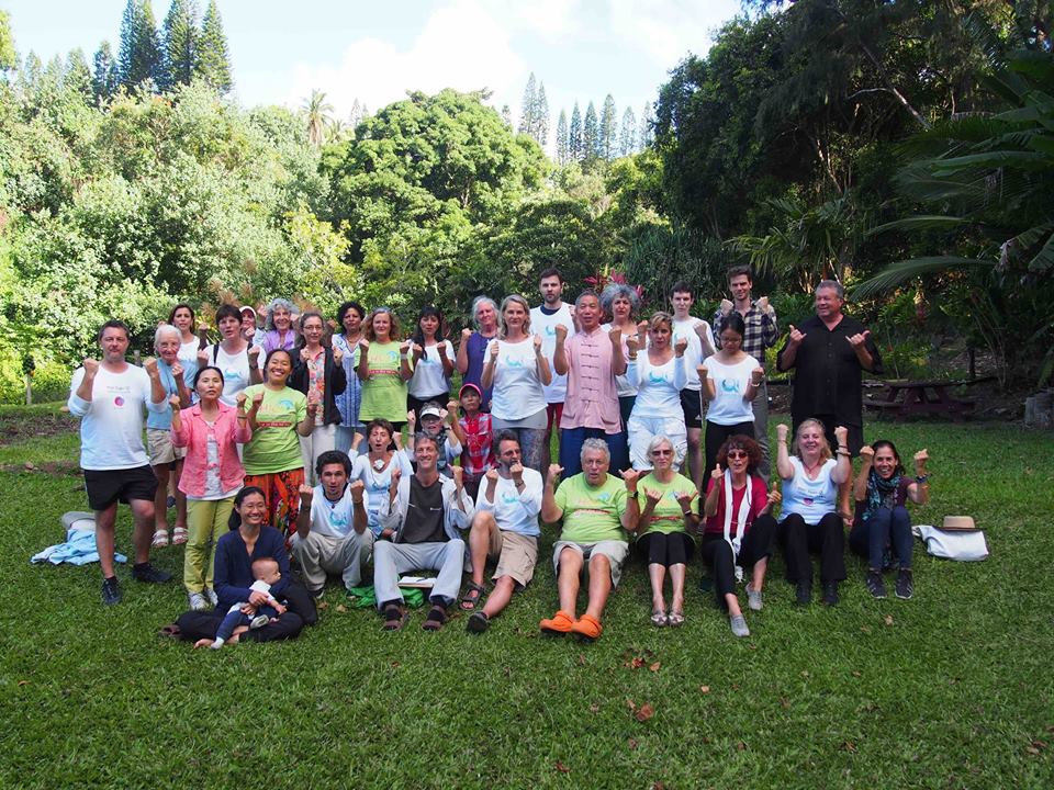 Results of the Holistic Health Retreat in Hawi, Hawaii USA Body and