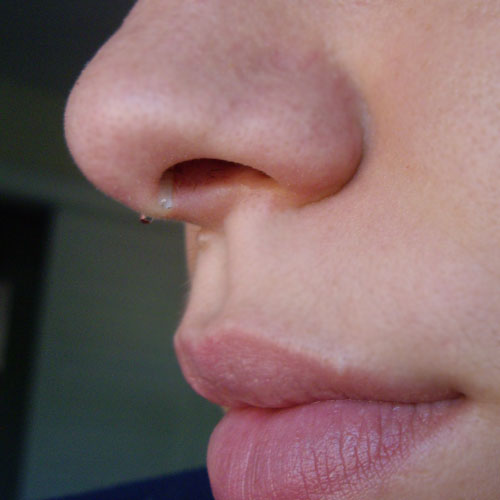 Pyrex septum retainer 14g Clear quartz