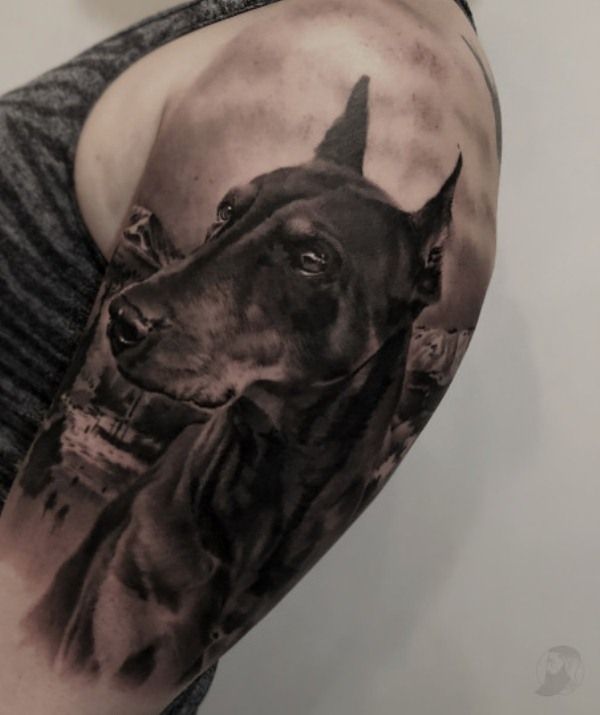 50+ Doberman Tattoos With Meaning - Body Art Guru 715_x_600_jpg