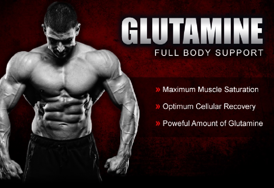 Glutamine The King Of The Amino Acids • Bodybuilding Wizard