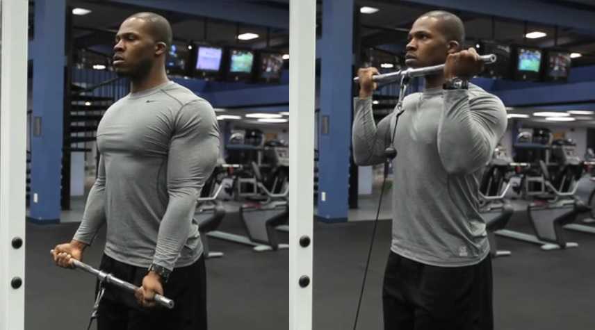 Standing Cable Curls Pulley Curls • Bodybuilding Wizard