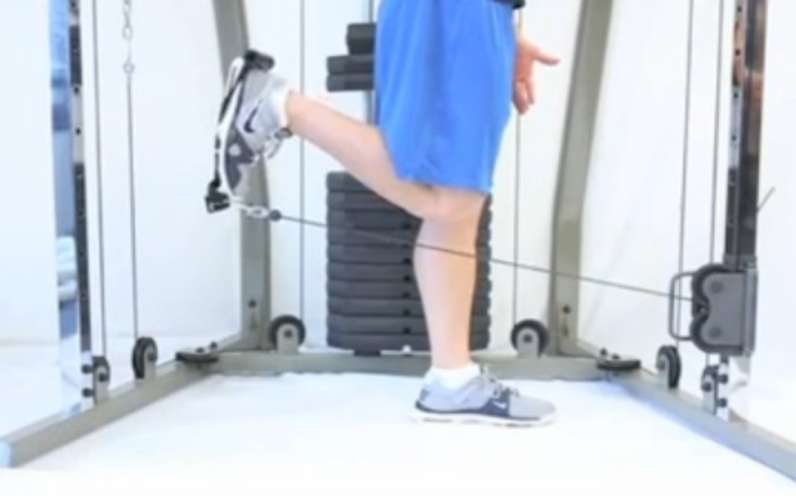 Cable Leg Curl Exercise Guide • Bodybuilding Wizard