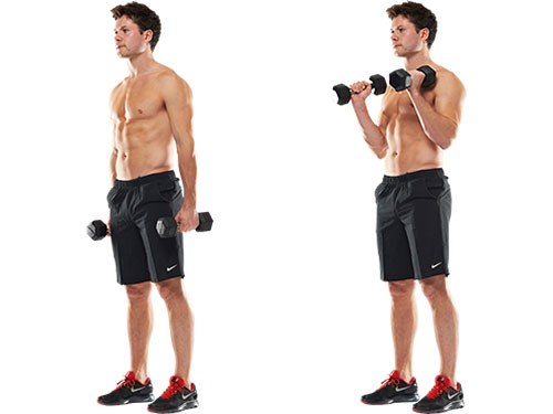 Standing Hammer Curl • Bodybuilding Wizard
