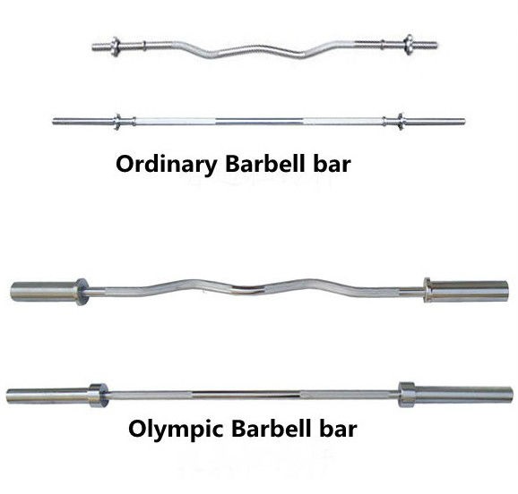 Strength Training with Barbells The Pros and Cons • Bodybuilding Wizard