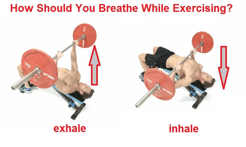 Exercise Technique Fundamentals: Breathing Considerations • Bodybuilding Wizard