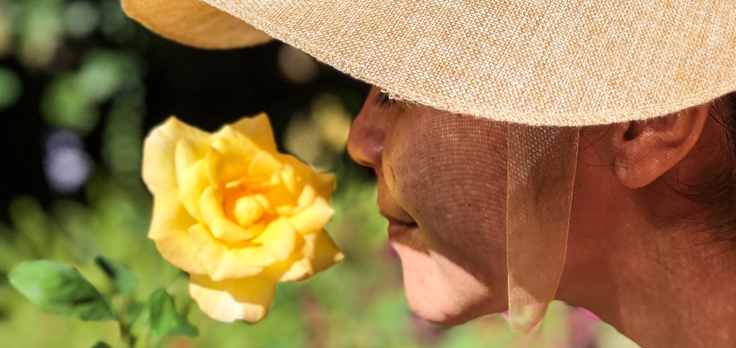 The sense of smell might be causing brain cancers. Body of Knowledge