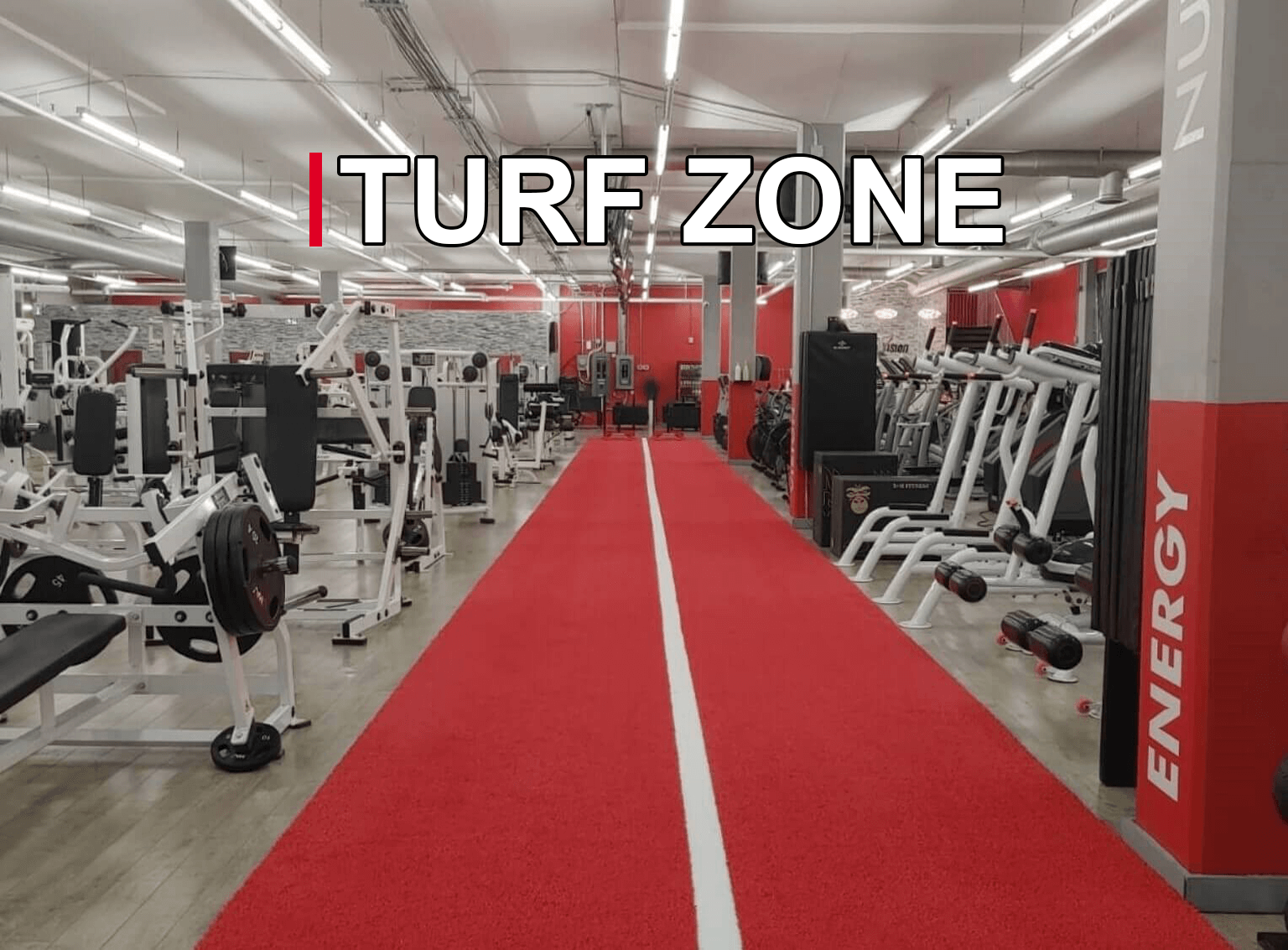 BodyVision Fitness BodyVision Fitness Based in Richmond Hill