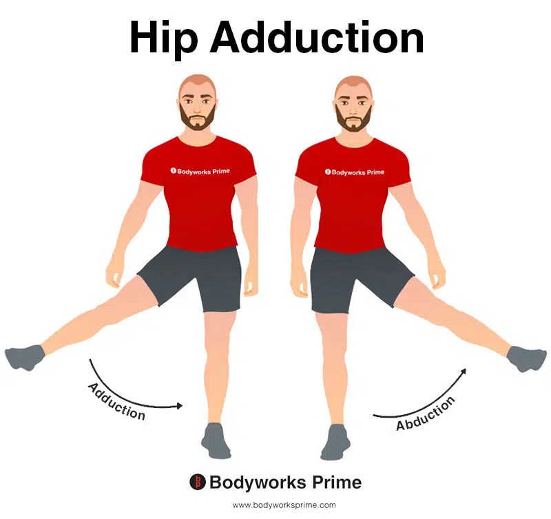 Hip Adduction