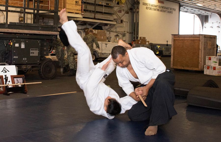 Aikido techniques and harmony (VIDEO)