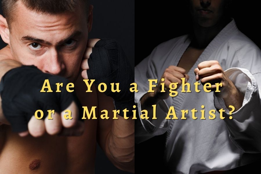 Are You A Fighter Or A Martial Artist?