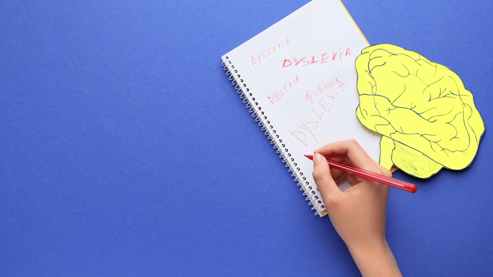 Is dyslexia a disability? What you need to know as a teacher Boelo