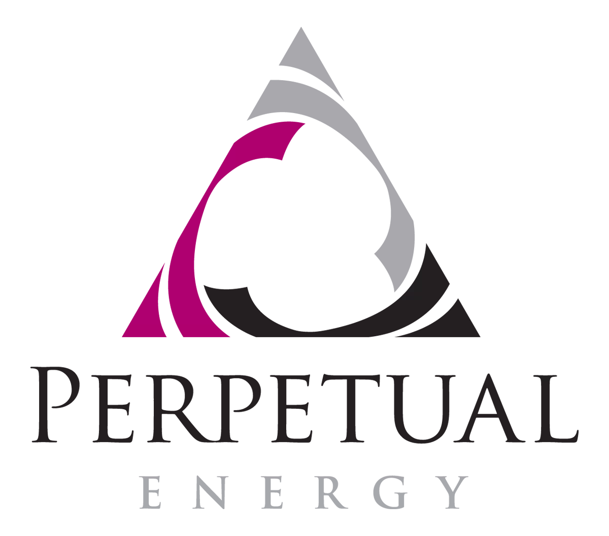 Perpetual Energy Inc. and Rubellite Energy Inc. obtain shareholder