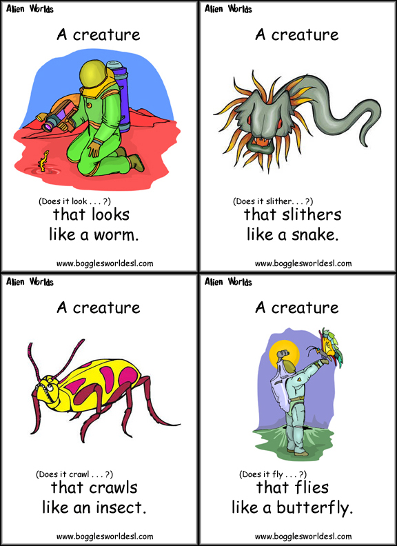 Amounts and Containers Flashcards