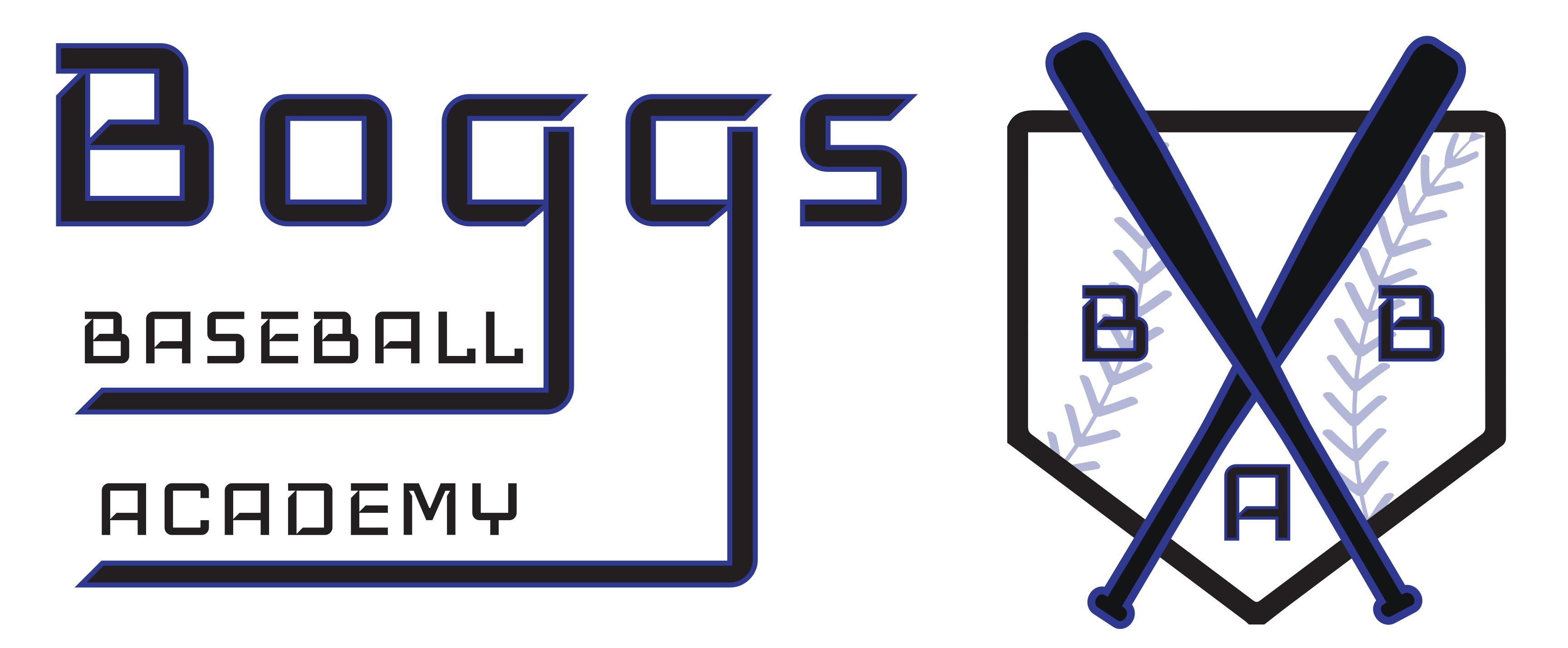 Boggs Baseball Academy Instructors