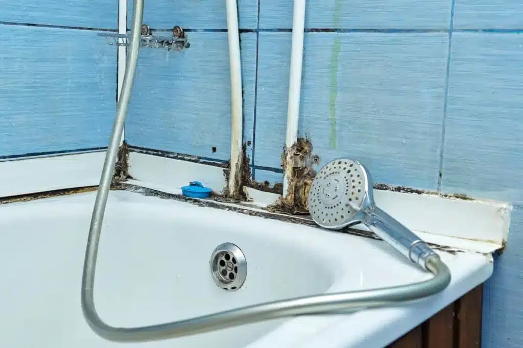 Can Mold Cause Headaches? Boggs Inspection Services