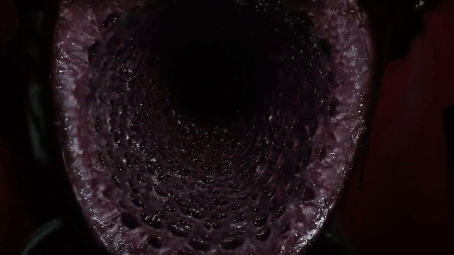 We know of cases like "The Monster/event was scarier when unrevealed