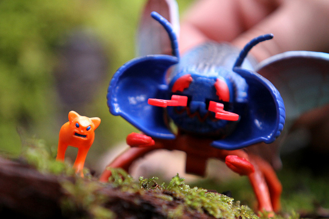 Rocks and Bugs and Things and Bugs and Rocks and Things and Bugs