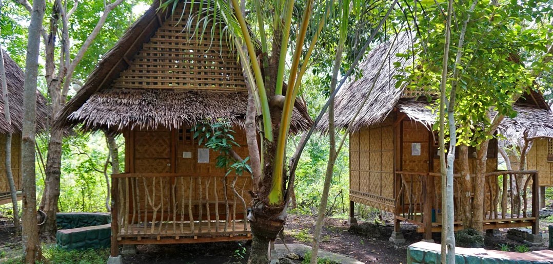 Bohol Coco Farm in Panglao, Philippines Bohol Guide