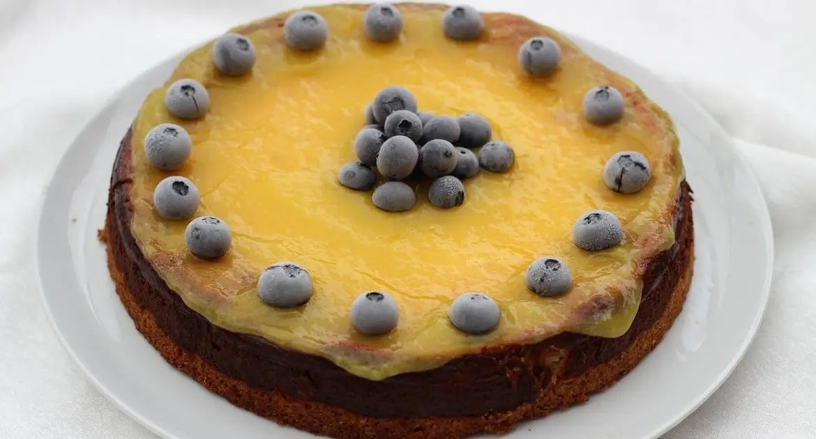 BLAUBEERKÄSEKUCHEN MIT MANGOSOSSE Kochen und Rezepte