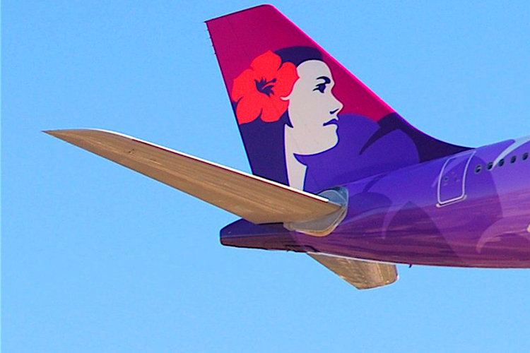 California runaway teen survives flight to Hawaii in plane