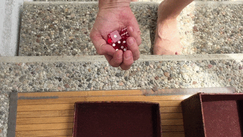 When Online Security Is Literally A Roll Of The Dice Which Dice Do You Use Boing Boing When Online Security Is Literally A Roll Of The Dice Which Dice Do You Use Boing Boing