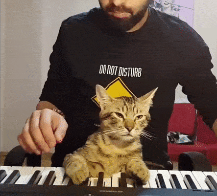 Cat Enjoys Relaxing And Playing Piano With Owner Boing Boing