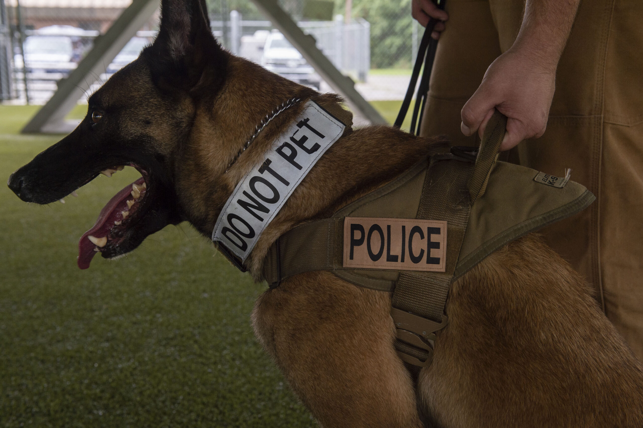 A yearlong investigation into the unaccountable police brutality of K9