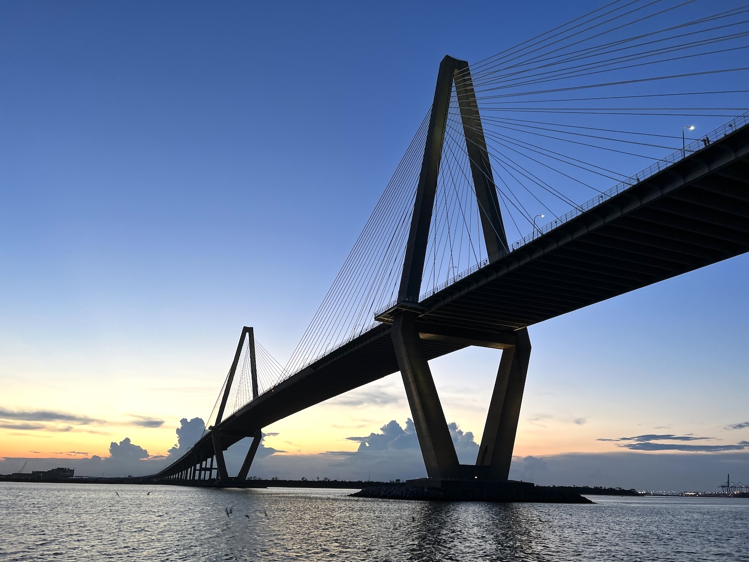 Cargo ship goes haywire in South Carolina — bridge shuts down