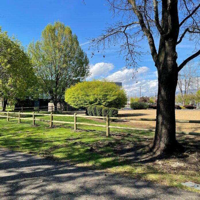 New food truck park hopes Green Acres is the place to be for floaters
