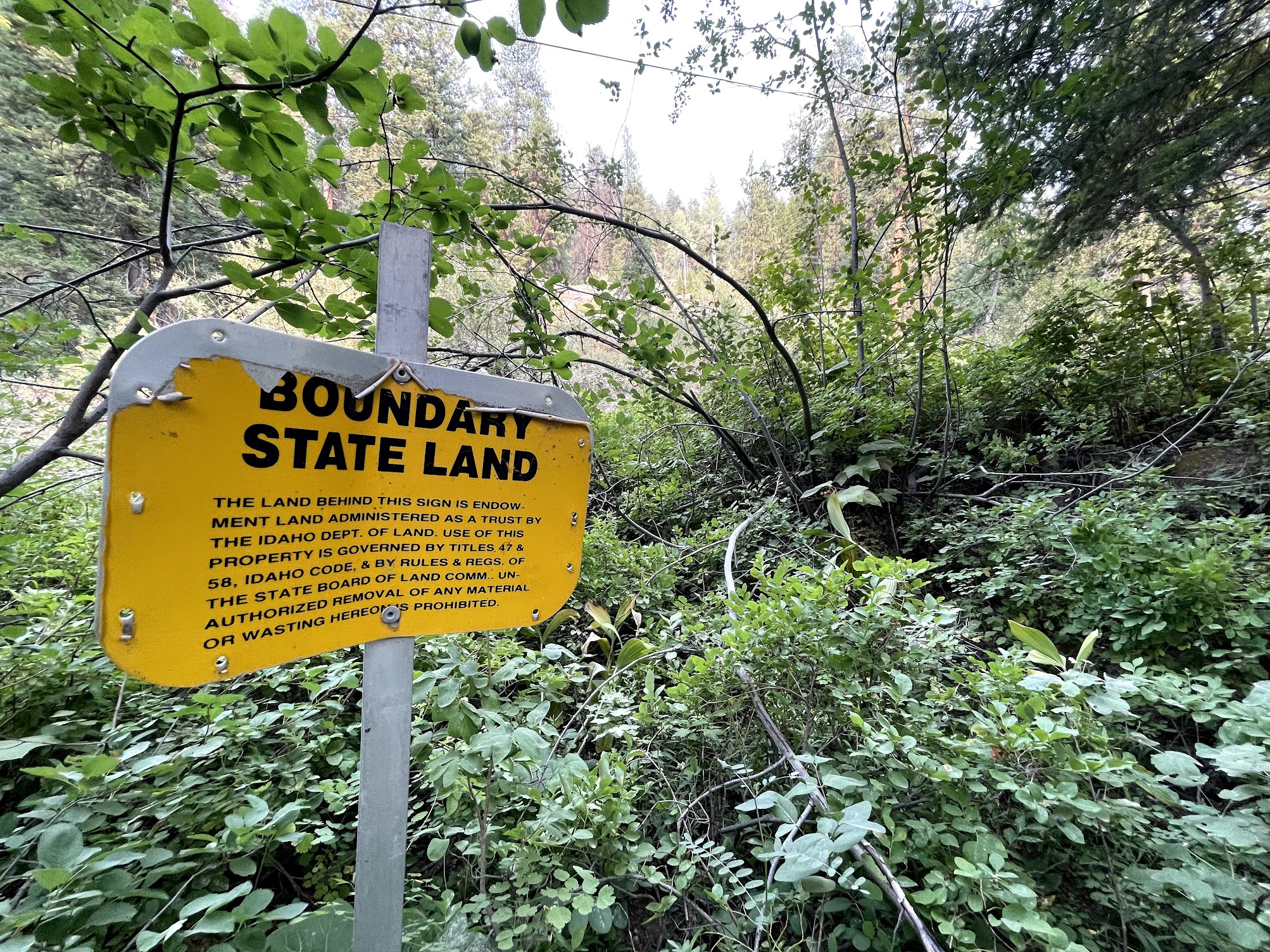 Valley Co. leases lands around McCall for recreation use