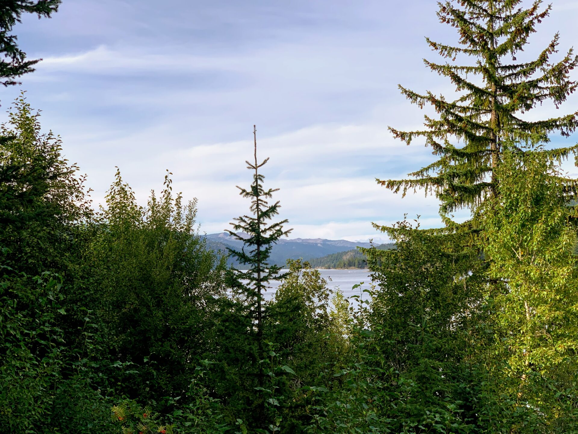 McCall plane Crash + Medicaid data breach + Rising gas prices BoiseDev