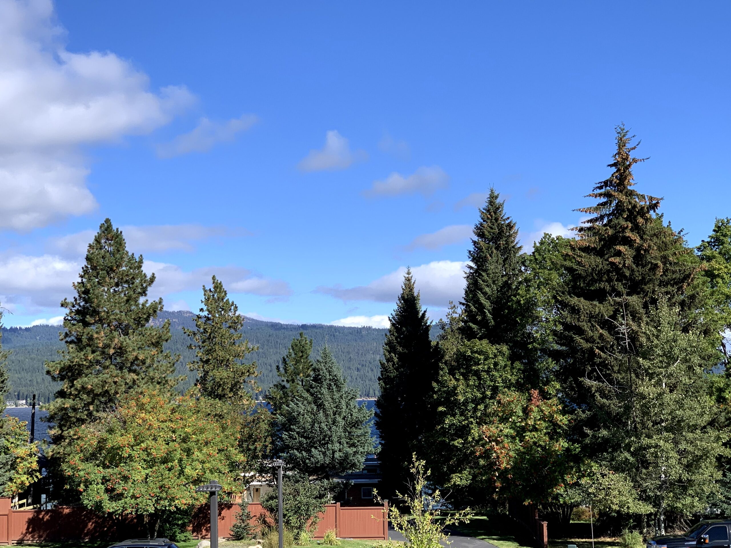 Idaho Land Board denies Trident's request to reconsider McCall land swap