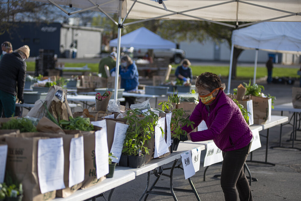 Boise Farmers Market opts to cancel Saturday's inperson market
