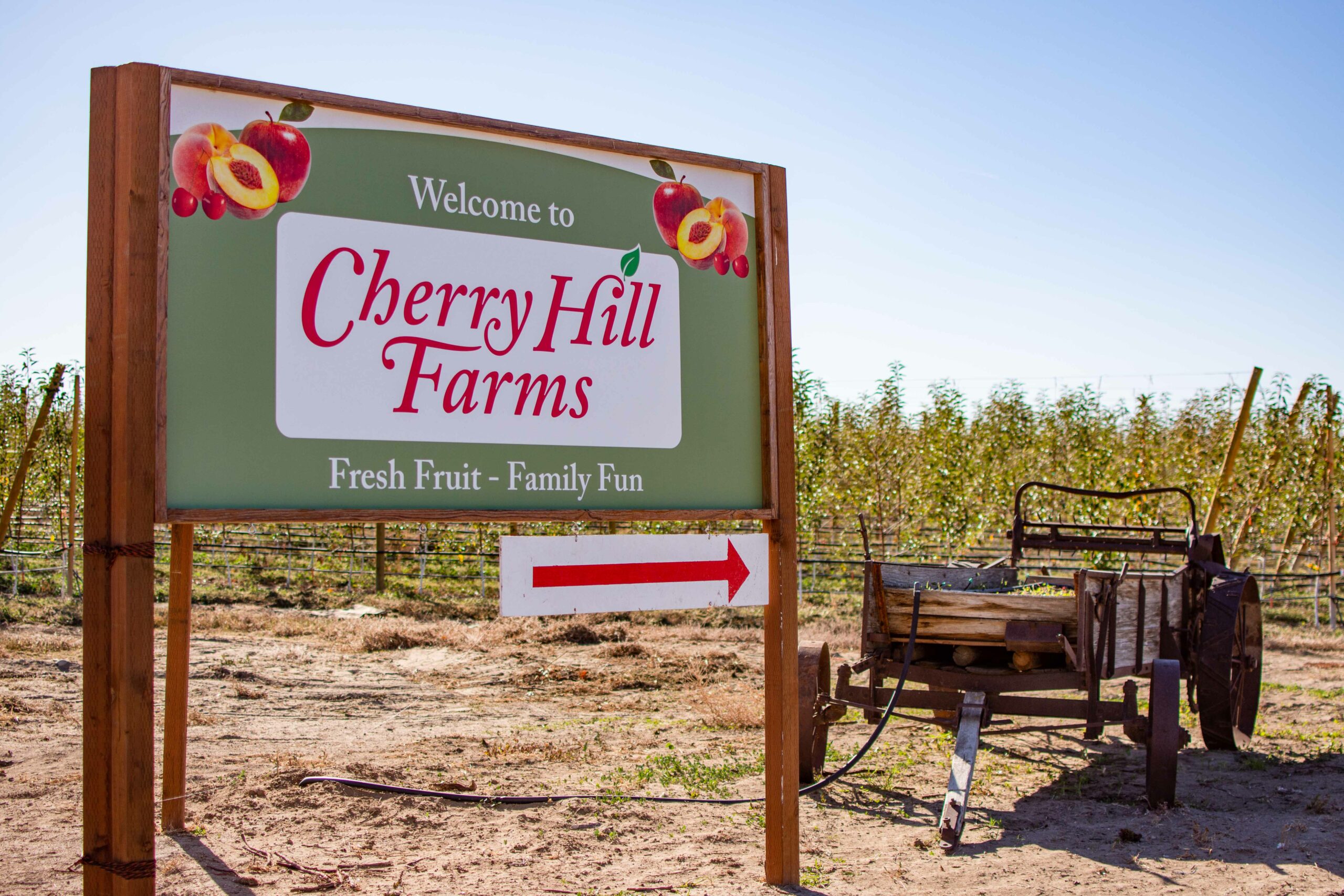 Cherry Hill Farms in Caldwell, ID offers tart cherries and fall fun