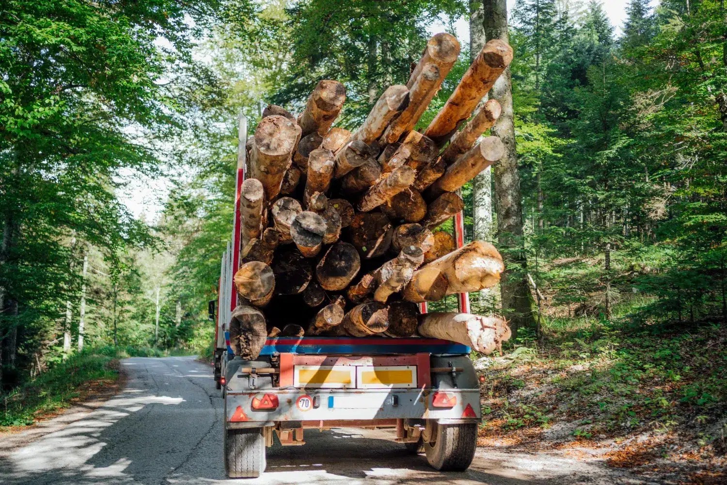 9 things to know about firewood Bois Franc Sec