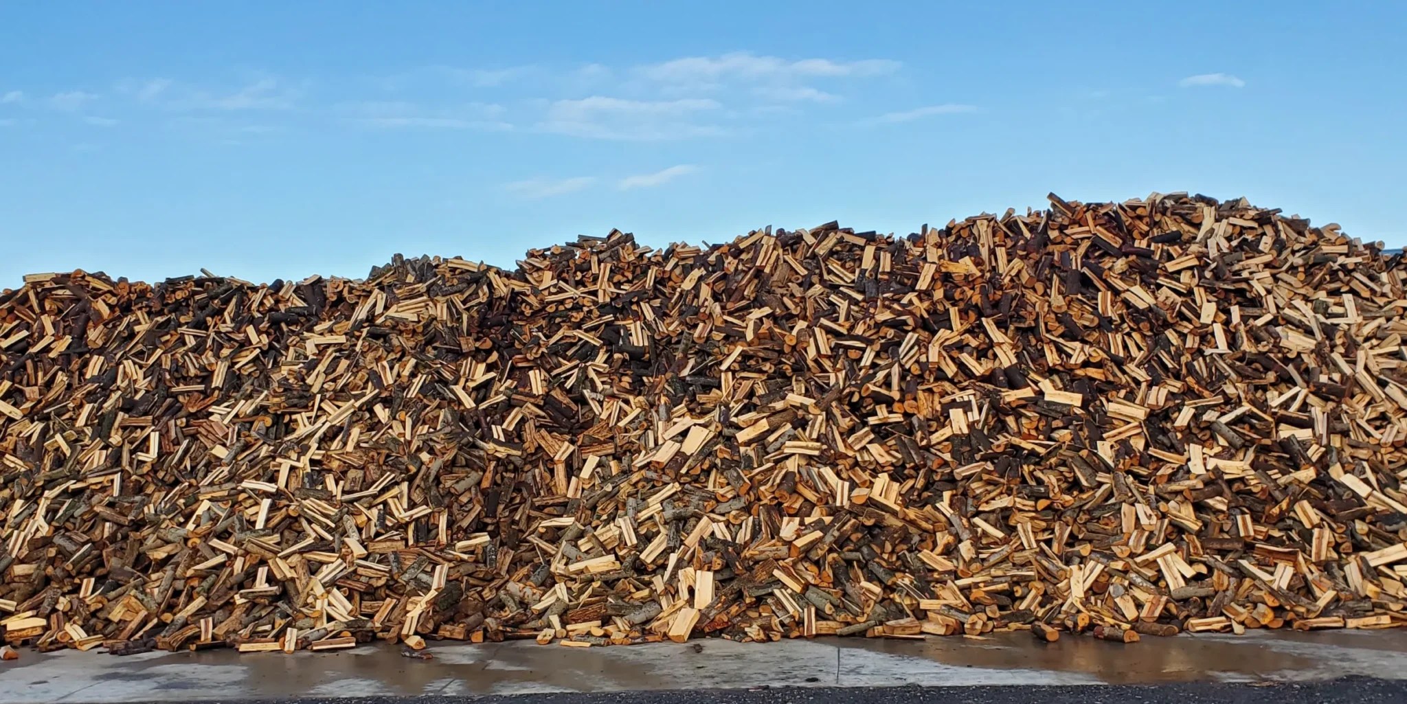 Bois Franc Sec Choisir le meilleur type de bois de chauffage