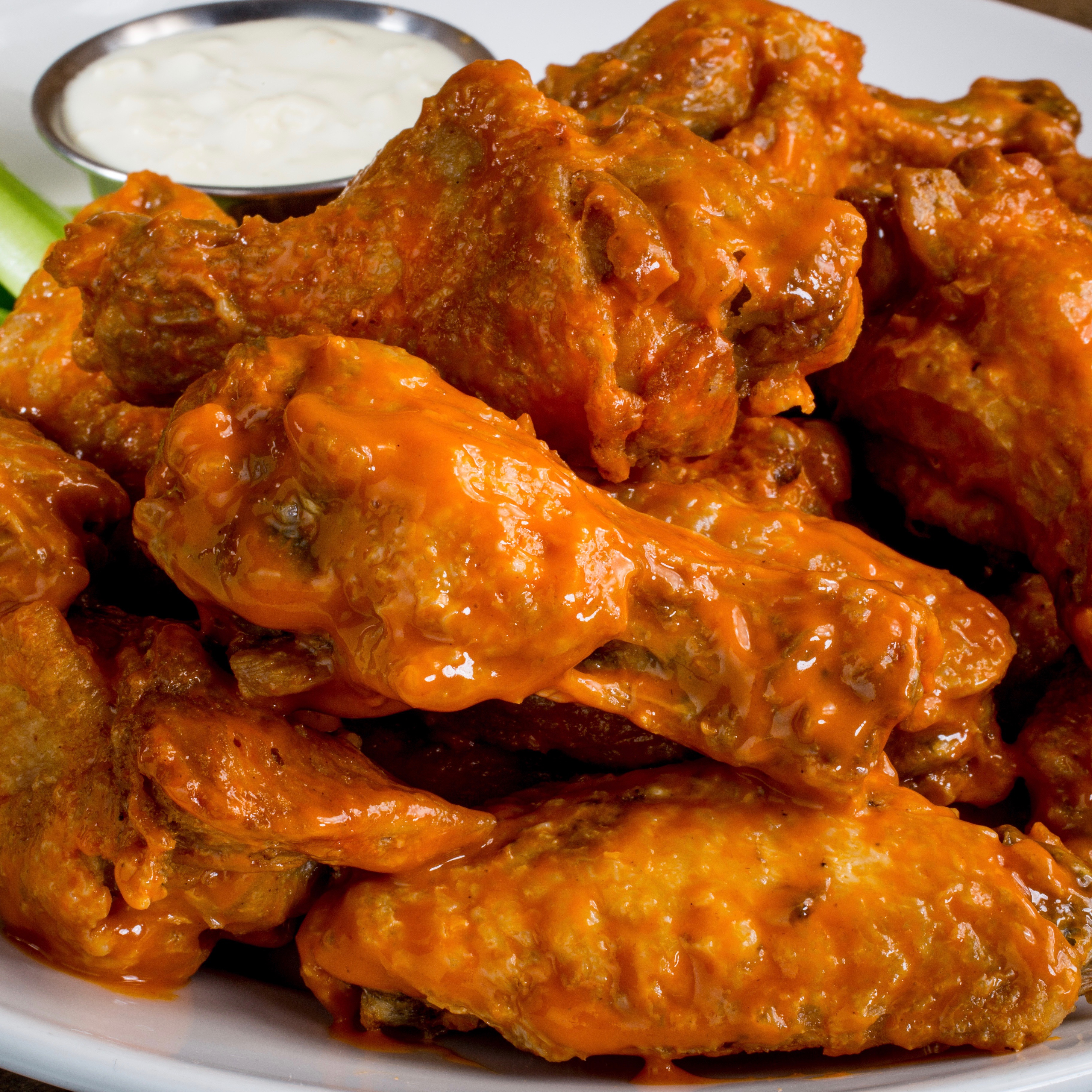 Bokampers Fort Lauderdale