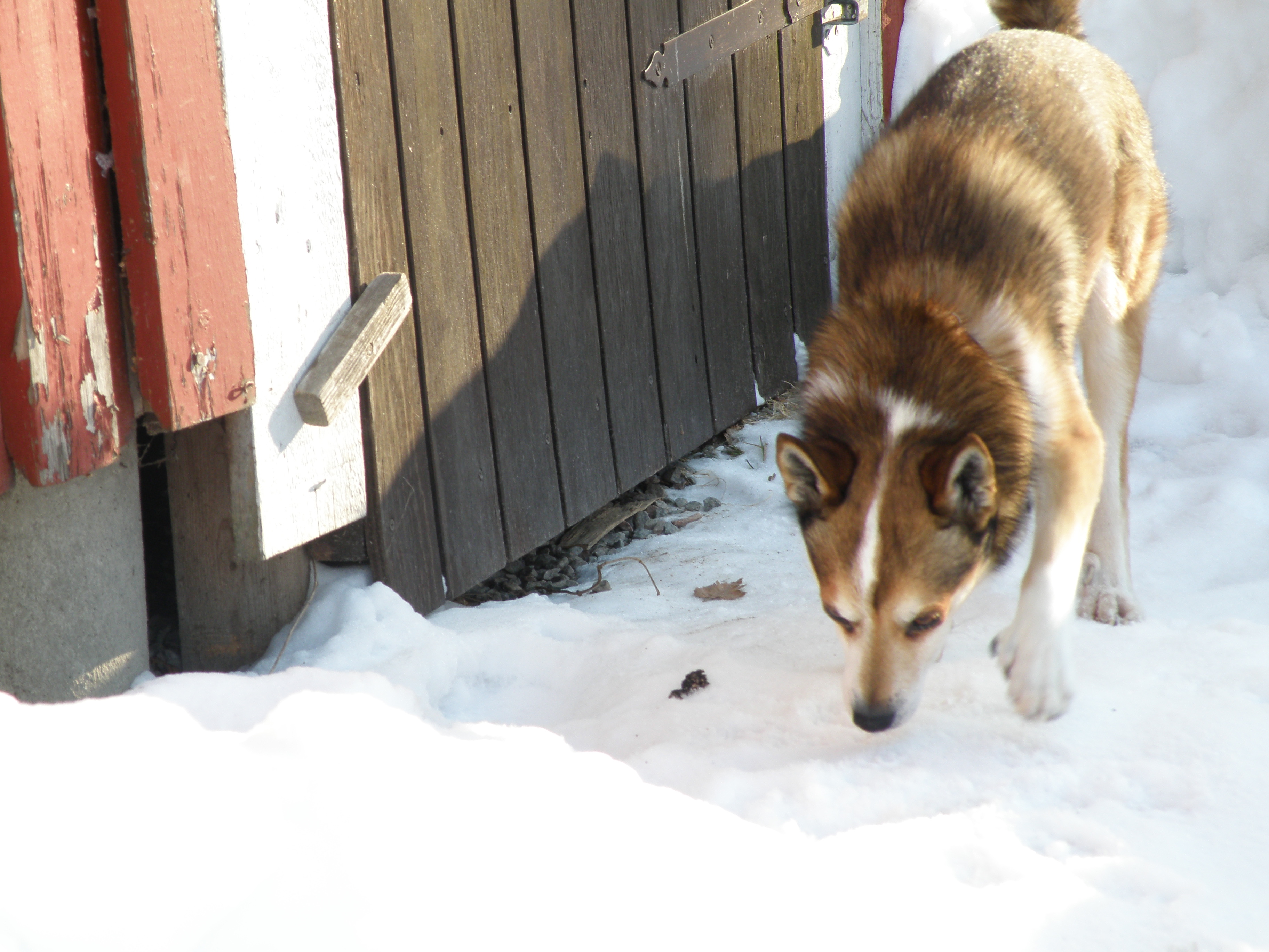 Midwinter Bokashi storage Bokashiworld