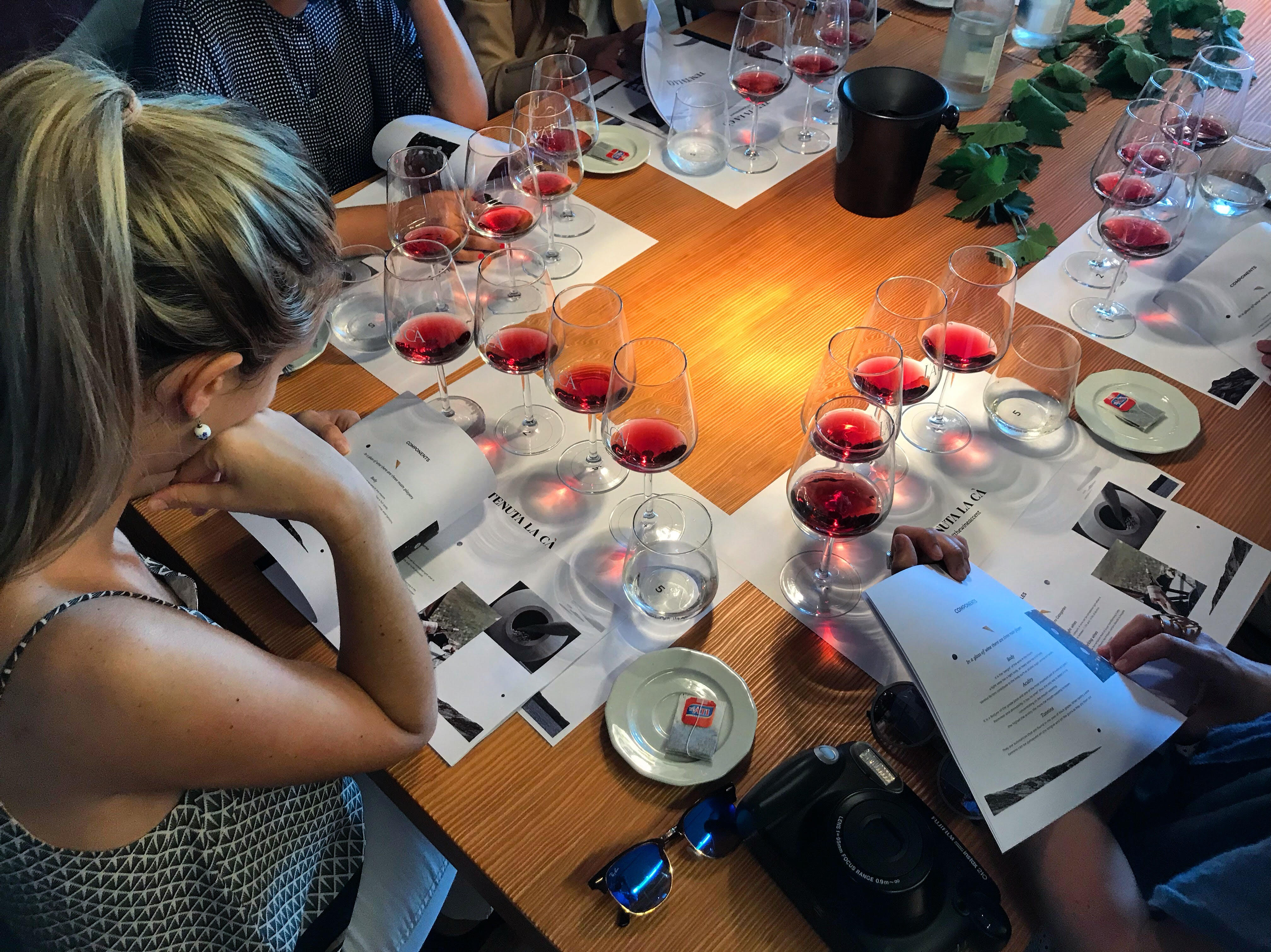 Lake Garda Wine Tour & Tasting Experience in Bardolino area