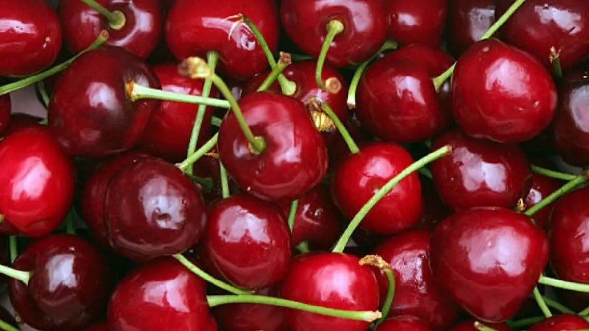 Cereza ¿Que es? ¿Cuanta calorias tienen? Beneficios, Tipos y más.