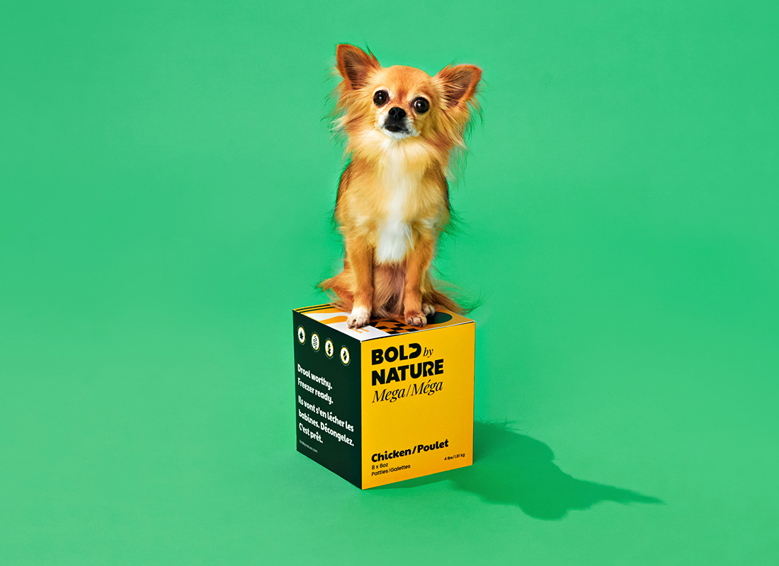Shop premium Raw Pet Food in Canada Bold by Nature