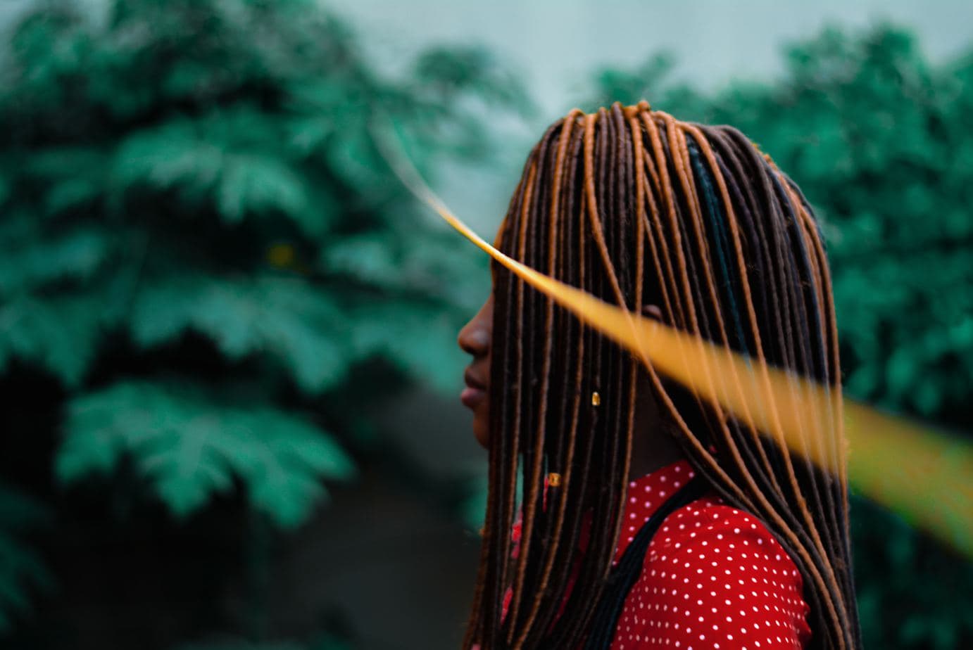 Healthy Hair Tips To Prevent Hair Breakage Bold Kulture Beauty