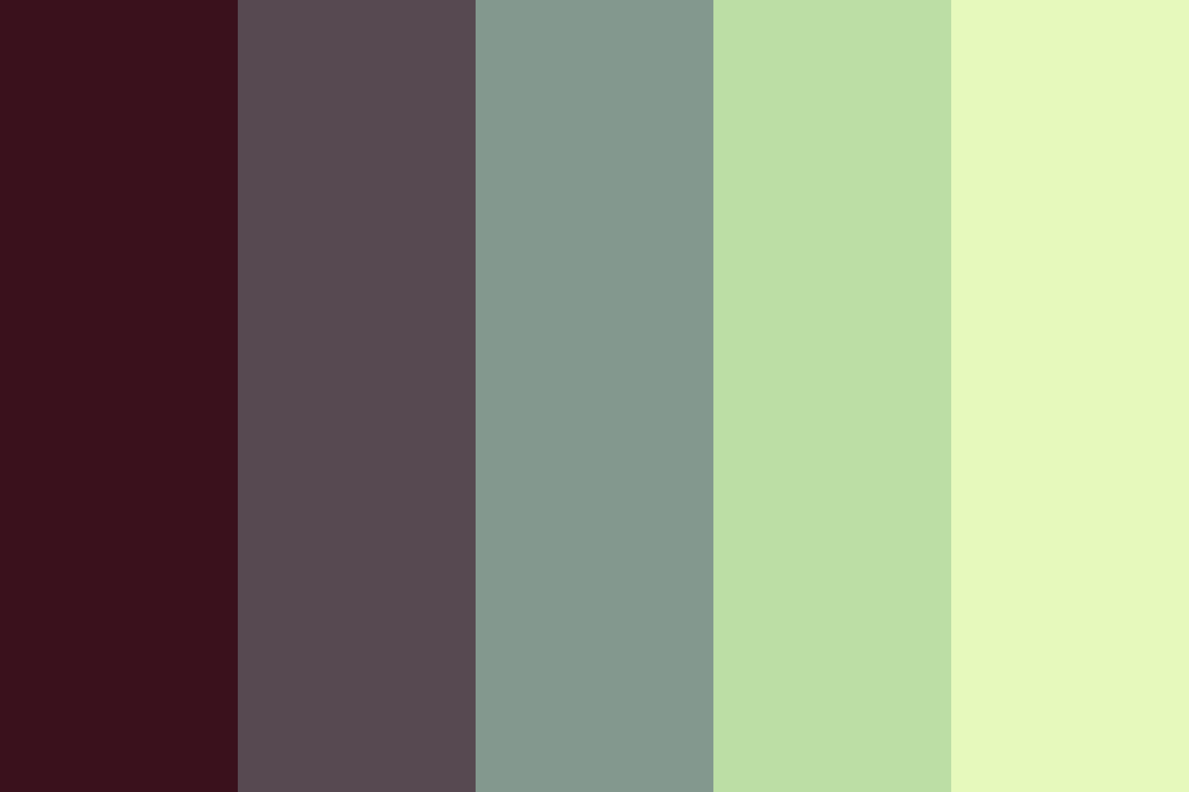 Color Palette Inspiration Ideas Bold Print Design Studio
