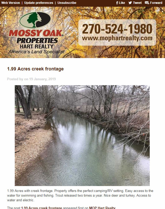 Mossy Oak Properties Hart Realty Email Newsletter Bold Print Design