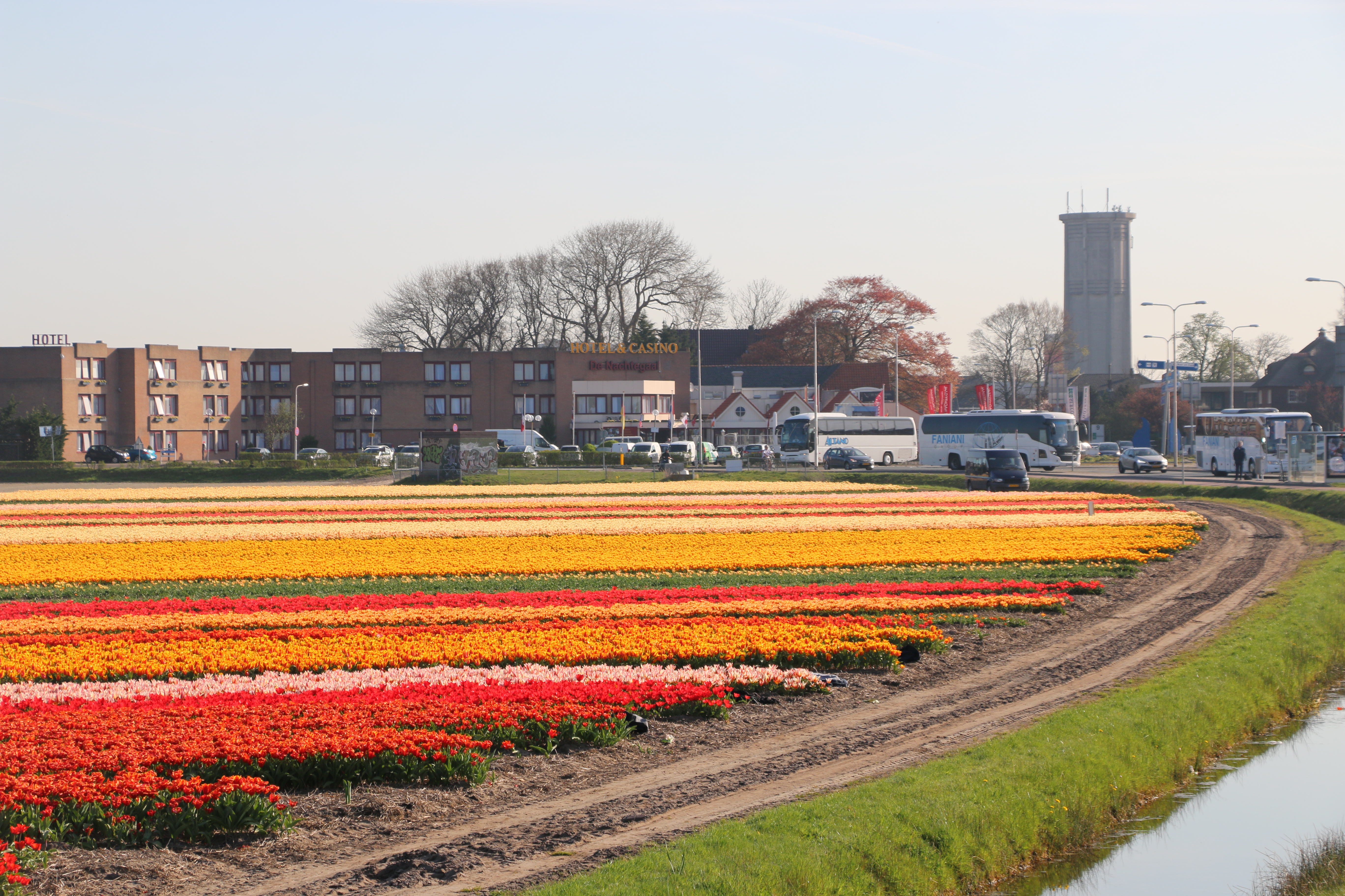 Vakantie Bij Keukenhof En De Bollenvelden In Nederland - Bollenstreek