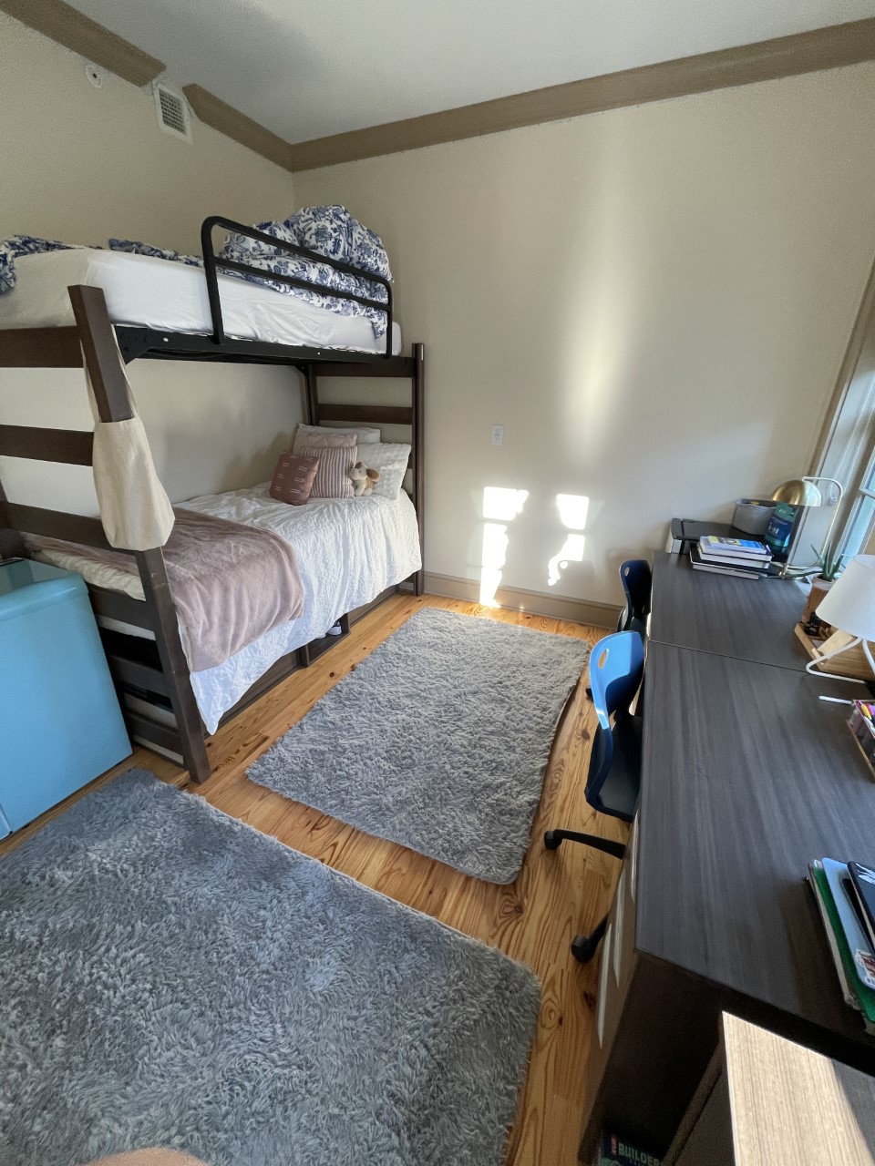 The Bolles Bugle Campus move complete, San Jose dorms go coed