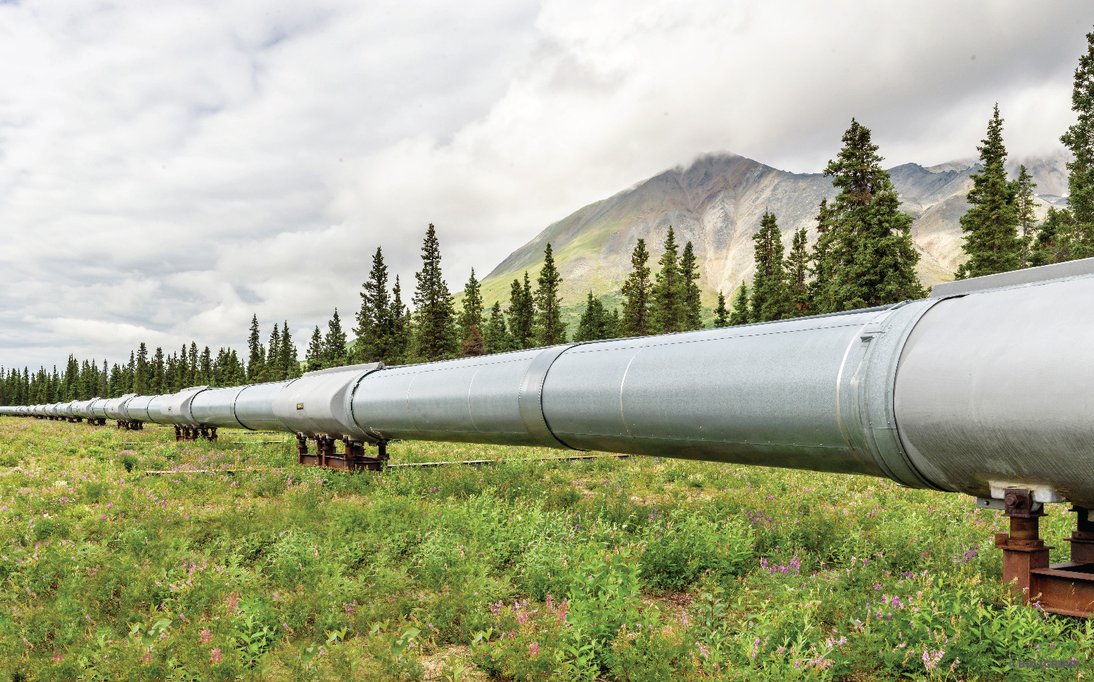 The Power of a Long-Range New Product Pipeline